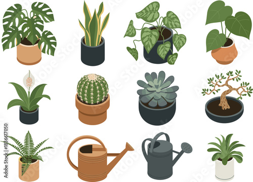 Isometric illustration set of potted houseplants, succulents, cactus, bonsai, foliage plants with watering cans and gardening tools, indoor plant collection