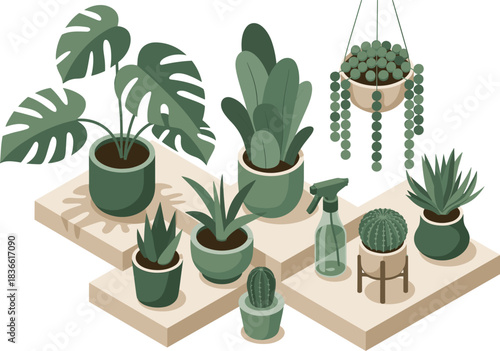 Isometric indoor plants collection with potted greenery, succulents, cactus, hanging planters, home decor illustration, modern botanical design for interior styling