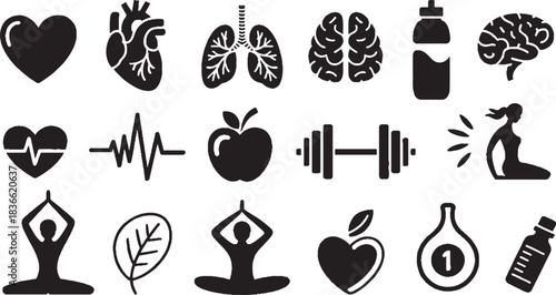 Health and Fitness Icons Set Human Body Organs and Exercise Symbols heart lungs