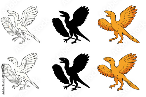 Archaeopteryx Feather Styles. Reconstruction of archaeopteryx feather in fossil pose, showing connection between primitive bird