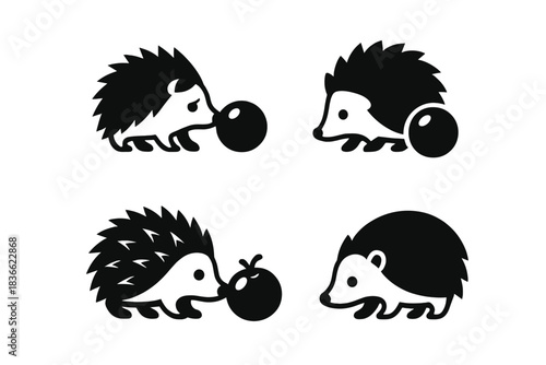 Hedgehog Meets Orb. Icons for: a hedgehog’s shy form approaching a bright orb, a timid spined body nearing a fresh sphere, a