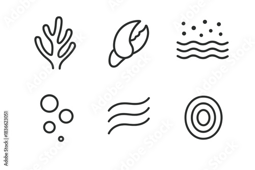 Seafloor Coral Icons. Line vector icons of Seafloor Coral Clasp: coral sprig, clasping claw, seabed grain, foam dot, current flick