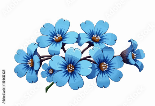 Detailed Illustration of Vibrant Blue Flowers with Green Stem and Delicate Petals Displayed on a Light Background for Botanical Study