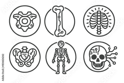 Cyber Skeleton Icons. Line style round vector icons of Cyber Osteology: chrome vertebra, data femur, luminous ribcage, electric