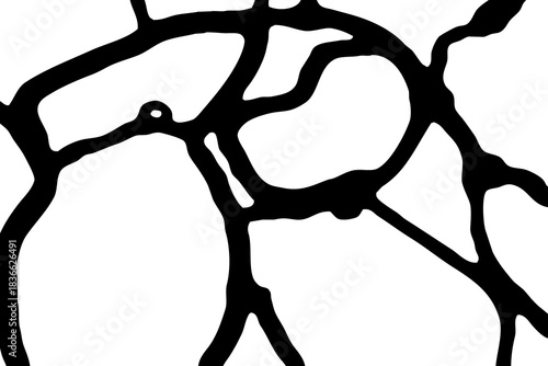 Abstract black and white pattern. For use in graphics. Minimalist illustration for printing on wall decorations