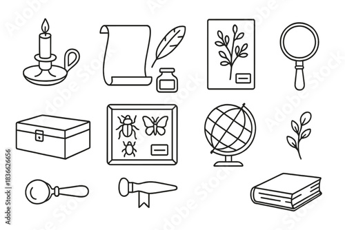 Naturalist Desk Icons. Line style icons of naturalist desk: candle holder, ink bottle, parchment, feather pen; specimen tray,