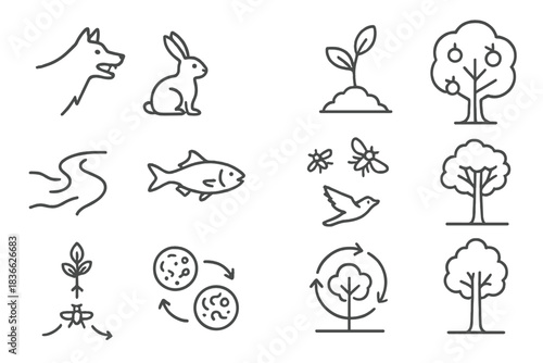 Ecological Line Icons. Line style icons of ecological balance: predator, prey, seedling, fruit tree; flowing river, fish, insect