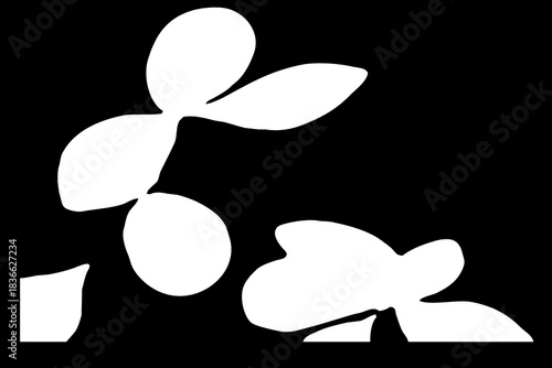 Abstract black and white pattern. For use in graphics. Minimalist illustration for printing on wall decorations