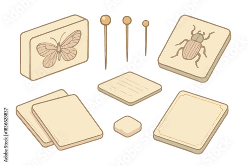 Victorian Taxonomy Icons. Isometric vector illustration set Victorian taxonomy icons: specimen cards, brass pins, delicate edges,