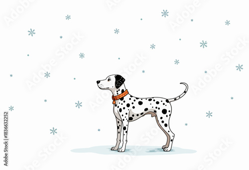 Illustration of a Dalmatian Dog Standing Calmly with Snowflakes Gently Falling Around Against a Minimalist White Background Symbolizing Winter Serenity