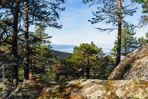View from Bygdeborgen Borgen of the Totenåsen Hills, Norway, a day in fall.