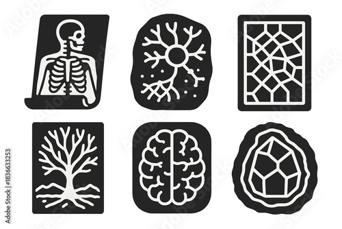 Scientific Art Icons. Solid style icons of scientific artistry: anatomical geology sketch, neural stone diagram, mineral network