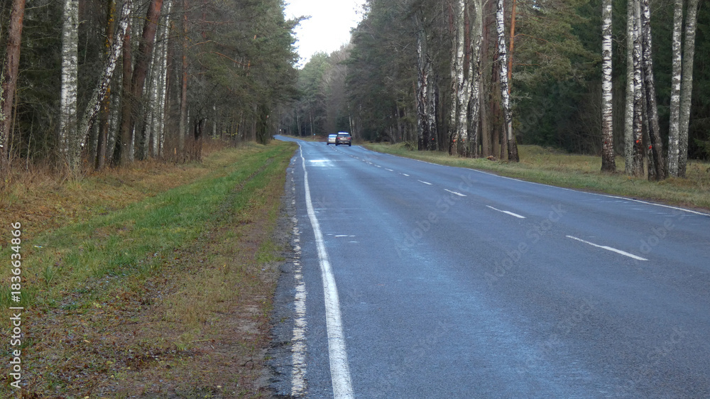 Fototapeta premium Road alongside trees with two vehicles visible in the distance during daylight hours in a rural area