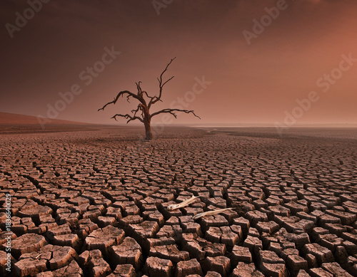 AI-generated image: Drought's devastation: Cracked earth, dead fish, and a lone dead tree under a Dune-like dusty haze. A powerful symbol of the climate crisis, ecological collapse, and water scarcity