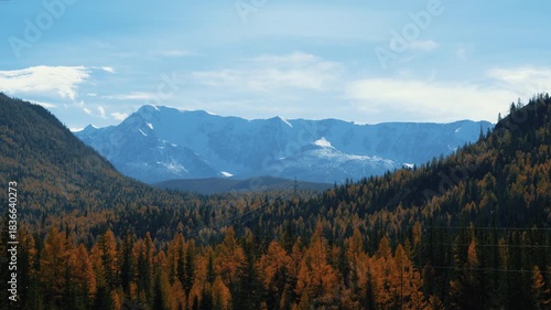 Scenic view from a moving car window showing a vast valley with a colorful autumn forest of orange larches and pine trees, leading to majestic snow-covered mountain peaks under a clear blue sky