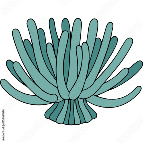 Abstract illustration of teal coral or anemone with numerous elongated tentacles fanning out from a central base on a black background