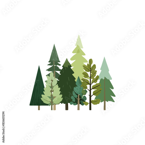 Hand-Drawn Forest Trees Illustration for Commercial Design Projects