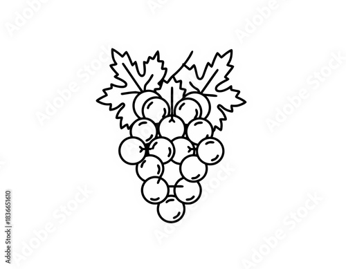 Minimalist Vector Art Sticker of Grapes and Leaves with White Outline on Black Background