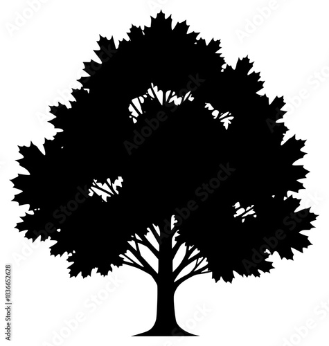 A black and white silhouette of a large tree, black, illustration, profile, tree, against transparent background