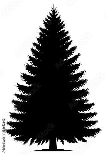 A black and white silhouette of a tall pine tree, black, christmas tree, fir tree, illustration, pine, profile, shadow, spruce, tree, against transparent background