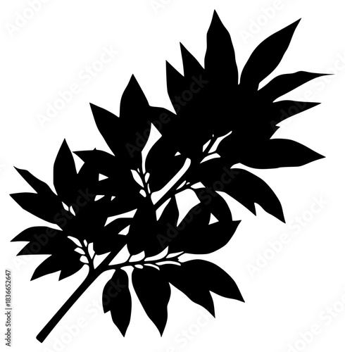 A black and white silhouette of a branch with leaves, black, branch, flower, illustration, plant, profile, stem, tree, twig, against transparent background