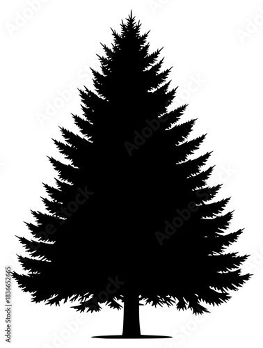 A black and white silhouette of a tall pine tree, black, christmas tree, fir tree, illustration, pine, profile, tree, against transparent background