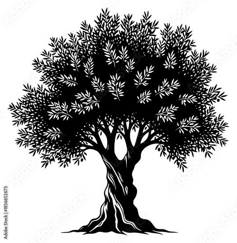 A black and white silhouette of an olive tree with leaves and roots, black, illustration, olive tree, profile, root, tree, against transparent background
