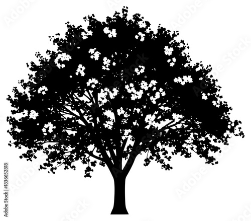 A black and white silhouette of a tree with flowers, black, illustration, oak tree, profile, tree, against transparent background