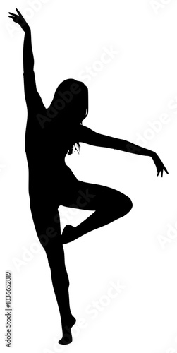 professional dancer silhouette, graceful ballet pose, athletic and elegant figure, dramatic high contrast, intricate lighting, cinematic atmosphere, photorealistic details, 8K resolution