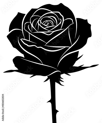 A black and white silhouette of a single rose on a , black, bud, flower, illustration, profile, rose, stab, stem, against transparent background
