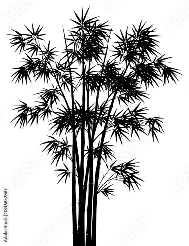 A black and white silhouette of a tall bamboo tree, bamboo, black, illustration, plant, profile, stem, tree, white, against transparent background