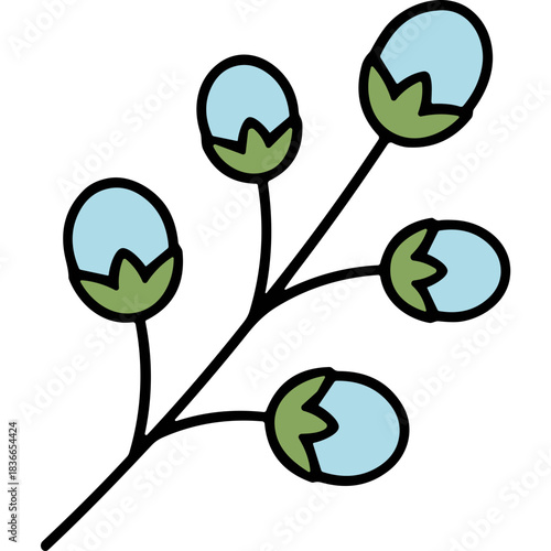 Close Up of Five Light Blue Flower Buds with Green Sepals Arranged in a Circular Pattern on a Black Background