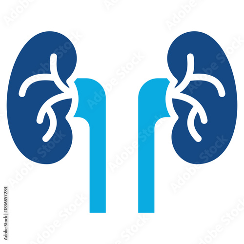 Nephrology glyph color icon