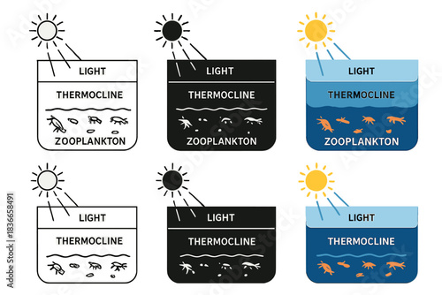 Ocean Column Cross-Section. Cross-section of ocean column showing light, thermocline, and zooplankton density distribution, clean