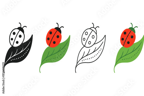 Ladybug Leaf Design. Ladybug Leaf Dot, elegant natural composition with soft curves and rhythmic dotted pattern, first in line