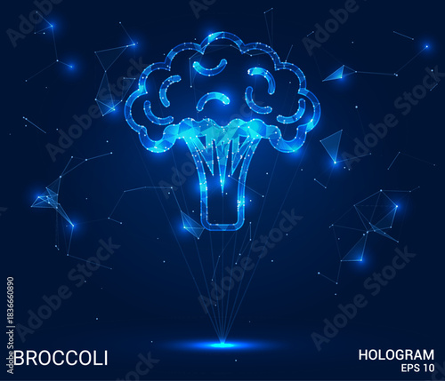 Hologram broccoli. The broccoli is made of polygons, triangles, dots and lines. The broccoli is a low poly connection structure. Technology, concept, vector. The broccoli stands out against blue.