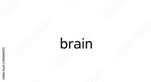 Minimal white background featuring the word brain as a simple conceptual science concept.