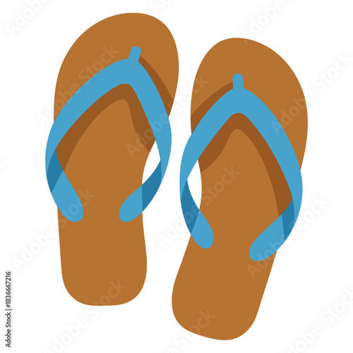 A pair of brown and blue flip-flops are ready for summer fun.