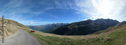 Portet