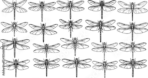 Dragonfly vector illustration set, hand-drawn, isolated on a white background. Collection of 18 unique dragonflies, High-quality, detailed sketches capturing the beauty of these summer insects