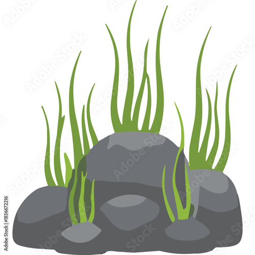 Gray Rock with Tall Green Grass Underwater in a Clear Ocean or Lake with Sunlight Shining Through the Water Creating a Serene and Natural Aquatic Environment