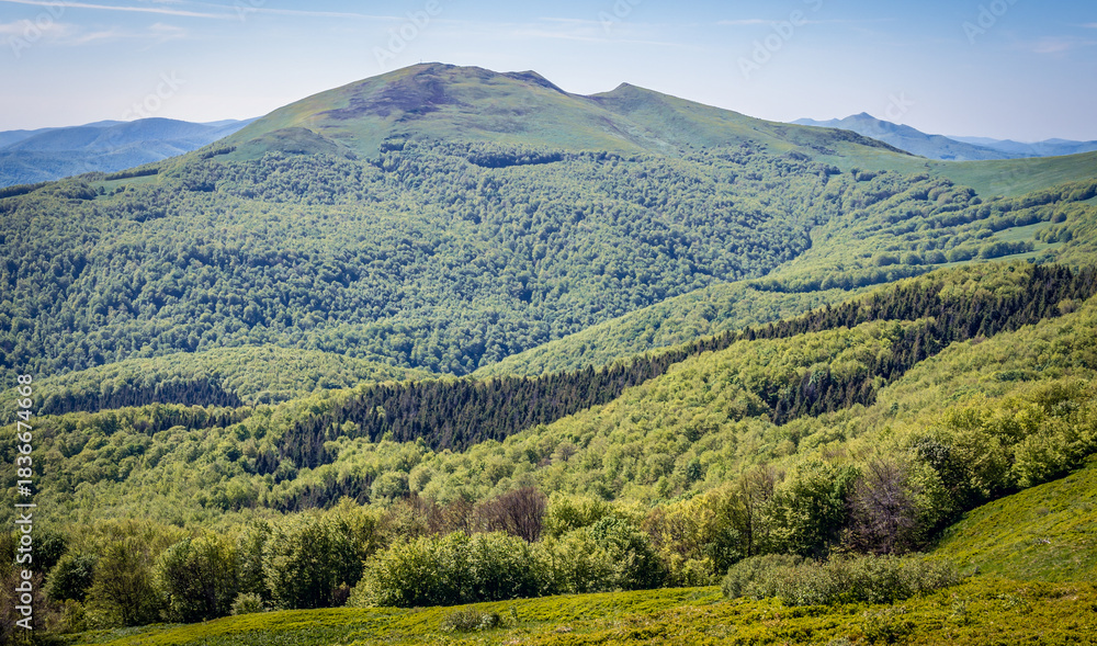 Obraz premium Aerial view from peak of Rozsypaniec Mount in Bieszczady National Park, Subcarpathian Voivodeship of Poland