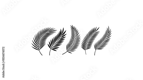 Set of black tropical palm leaves illustration