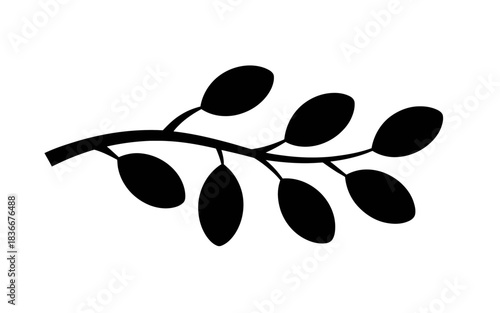 A solitary branch with several oval leave