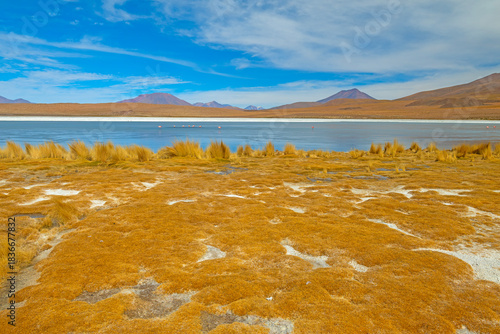 Frozen Salt Lake in the Altiplano