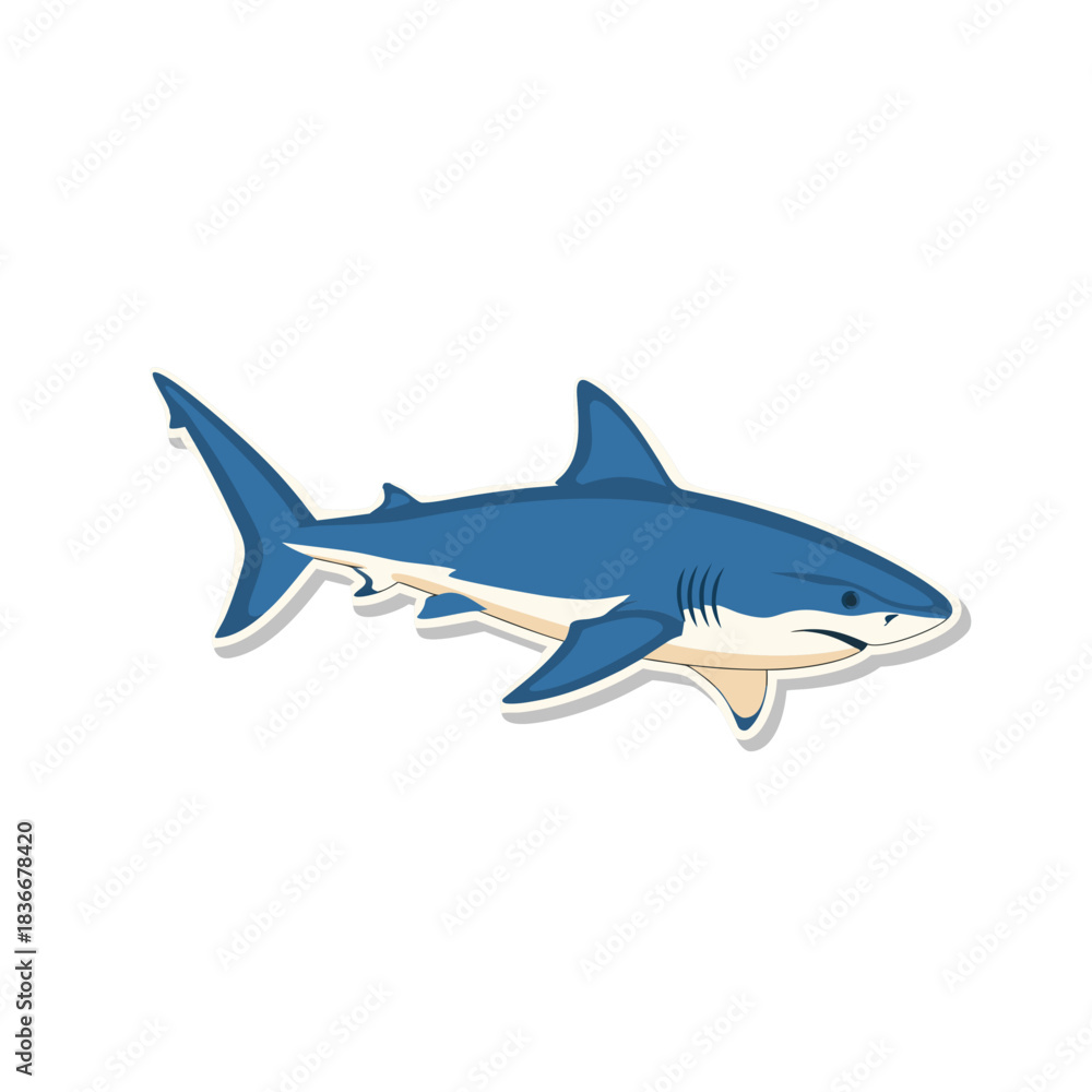 Fototapeta premium A blue and white shark illustration with fins and tail detailed isolated on a transparent black background.