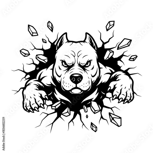 A powerful illustration of a pitbull dog, bursting through a wall, with fierce determination, showcasing strength and resilience. vector illustration