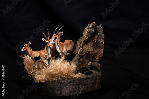 Thomson's gazelle animal on isolated background