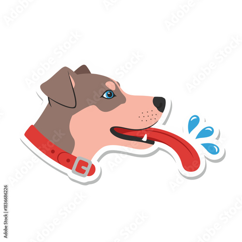 Close Up Of A Dog Head With Tongue Out And Drool Splashing Water Drops Around Its Mouth A Red Collar Is Around Its Neck On A White Background