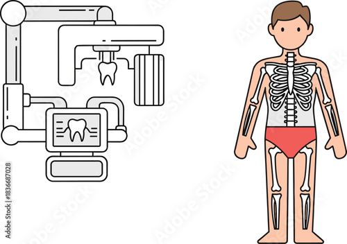 Dental X-ray machine with human body skeleton illustration showing bones structure and medical diagnostic equipment for healthcare and educational purposes